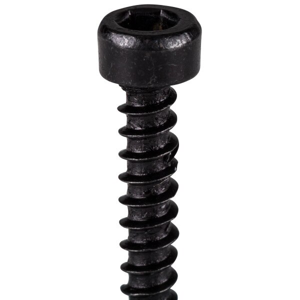Main product image for M3.5 x 25mm Cap Head Wood Screws Black 100 Pcs. 081-304